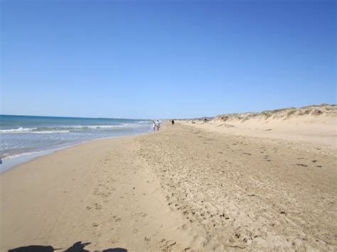 playa del rebollo gay|playa el rebollo beach.